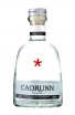 Caorunn Gin 