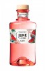 June Gin Watermelon 