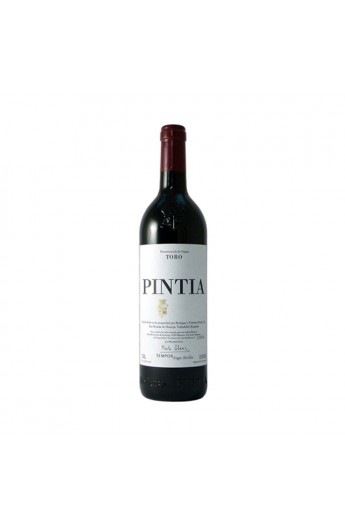 Pintia 2019