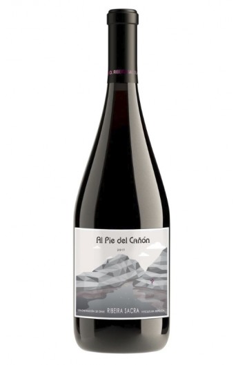Al Pie del Cañón 2019