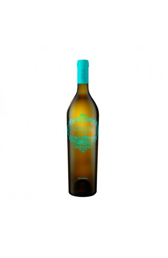 Pazo San Mauro 2024