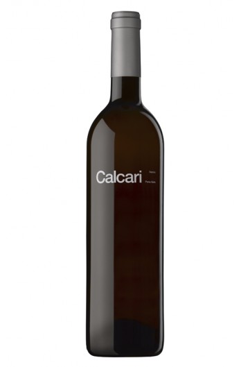 Parés Baltà Calcari 2021