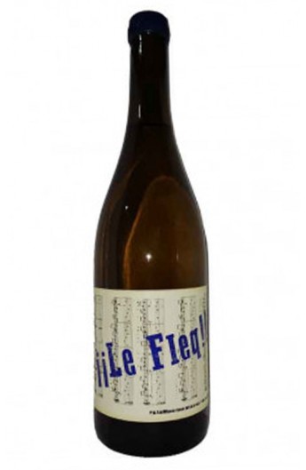 Le Fleq Palomino 2024