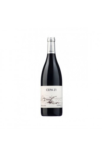 Cepa 21 2022