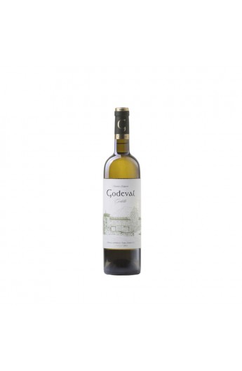 Godeval (Magnum) 2024