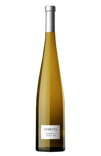 Parés Baltà Ginesta Blanco 2024