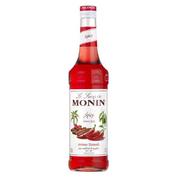 Monin Sirope Spicy 